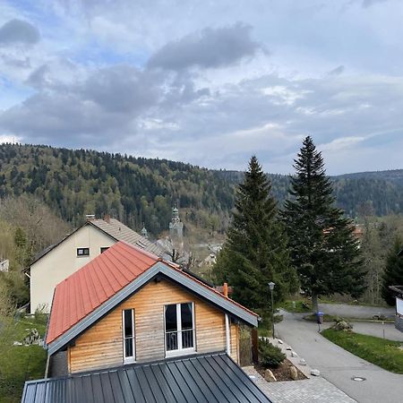 Traumferienwohnung Todtmoos - Appartment Mit Schoenem Wintergarten Bagian luar foto