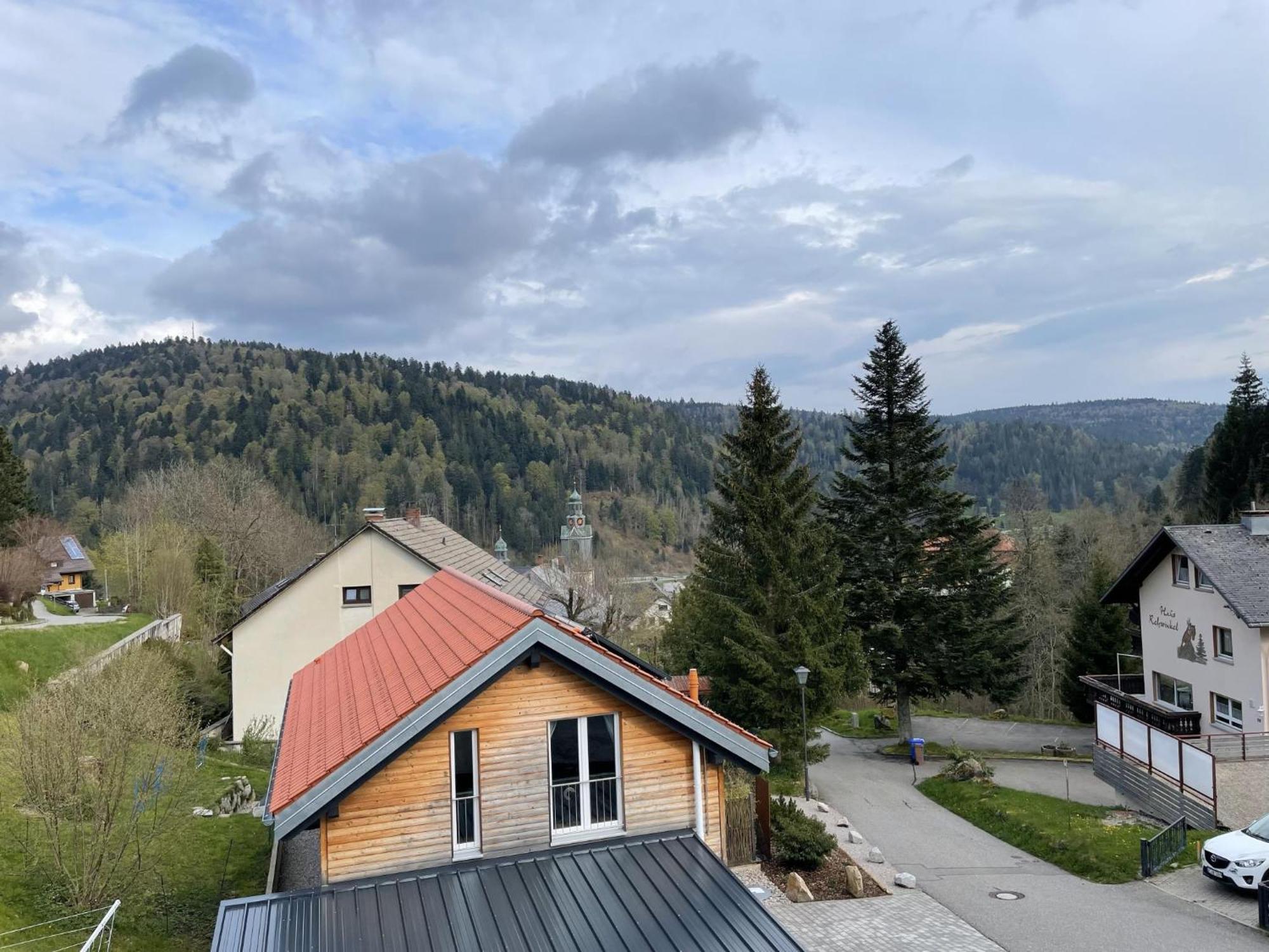 Traumferienwohnung Todtmoos - Appartment Mit Schoenem Wintergarten Bagian luar foto